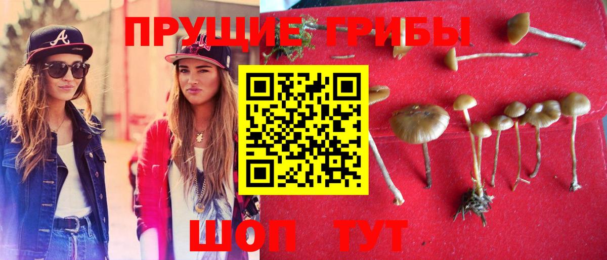 Псилоцибиновые грибы Magic Shrooms  Псилоцибиновые грибы мицелий  Ипатово 