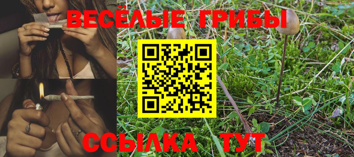 Ипатово  Псилоцибиновые грибы мицелий  Псилоцибиновые грибы MAGIC MUSHROOMS  Вход с VPN 